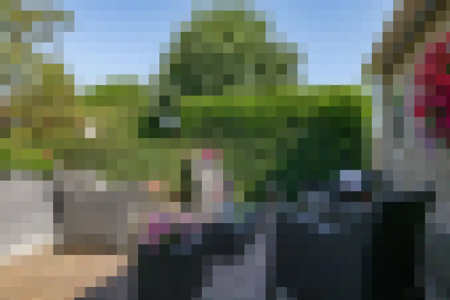 De Dam 1 Andelst thumbnail 62