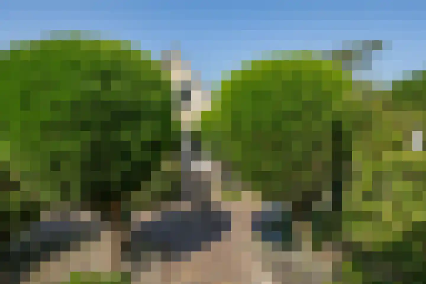 De Dam 1 Andelst thumbnail 69