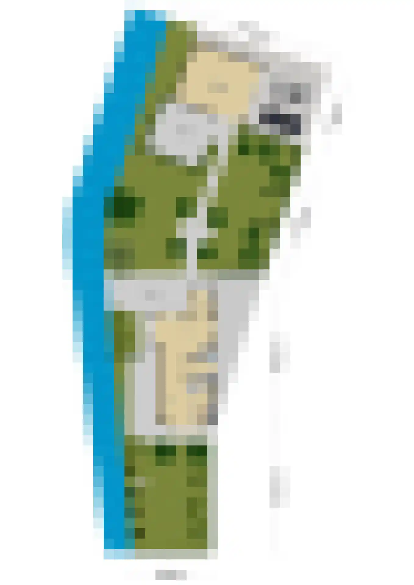 De Dam 1 Andelst thumbnail 7