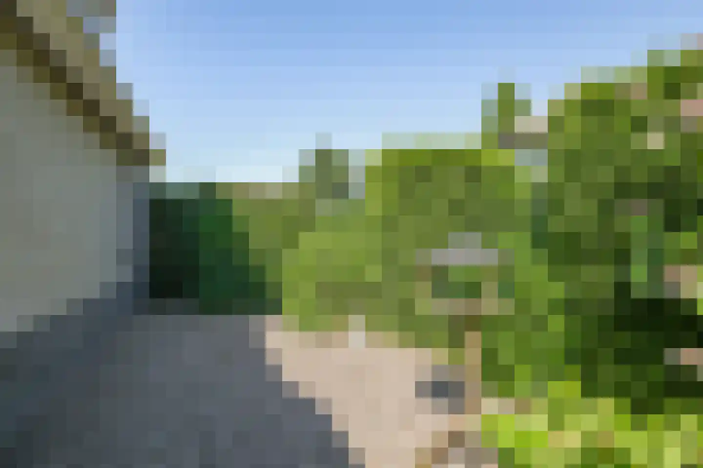 De Dam 1 Andelst thumbnail 70