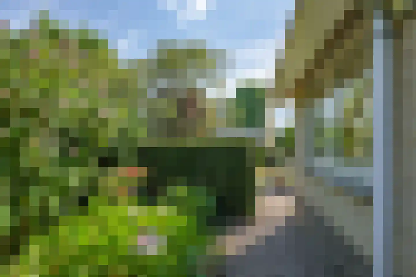 De Dam 1 Andelst thumbnail 71