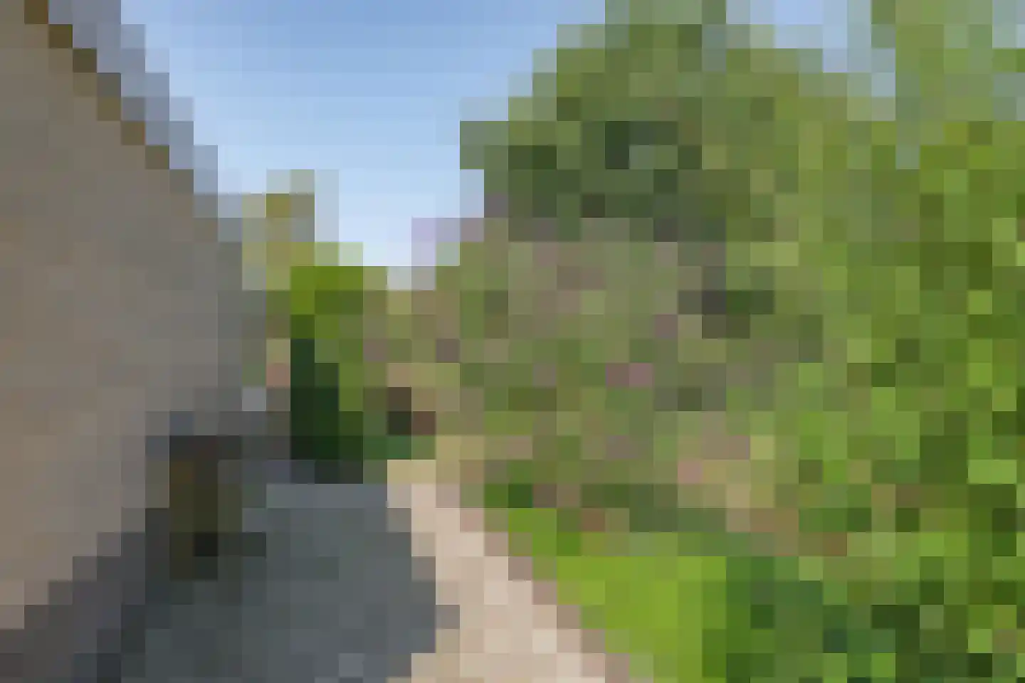 De Dam 1 Andelst thumbnail 73