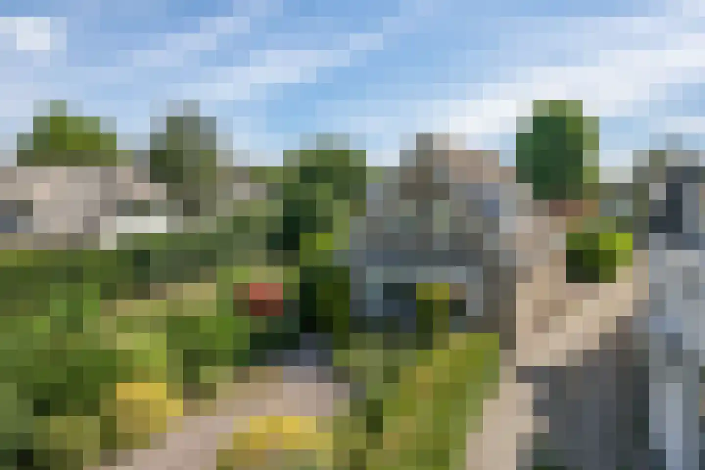 De Dam 1 Andelst thumbnail 77