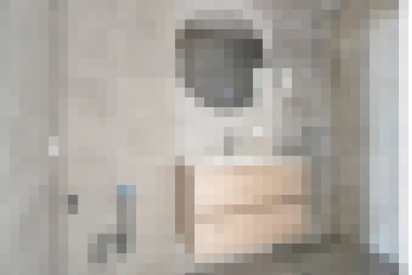 de Dam 54 Leek thumbnail 15