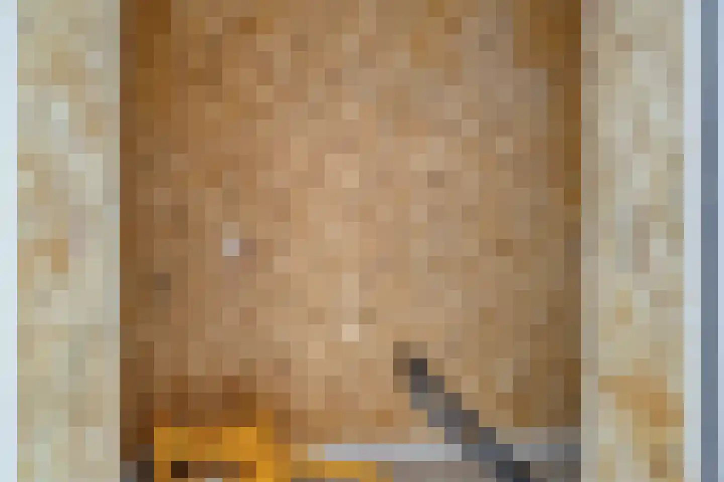 de Dam 54 Leek thumbnail 23