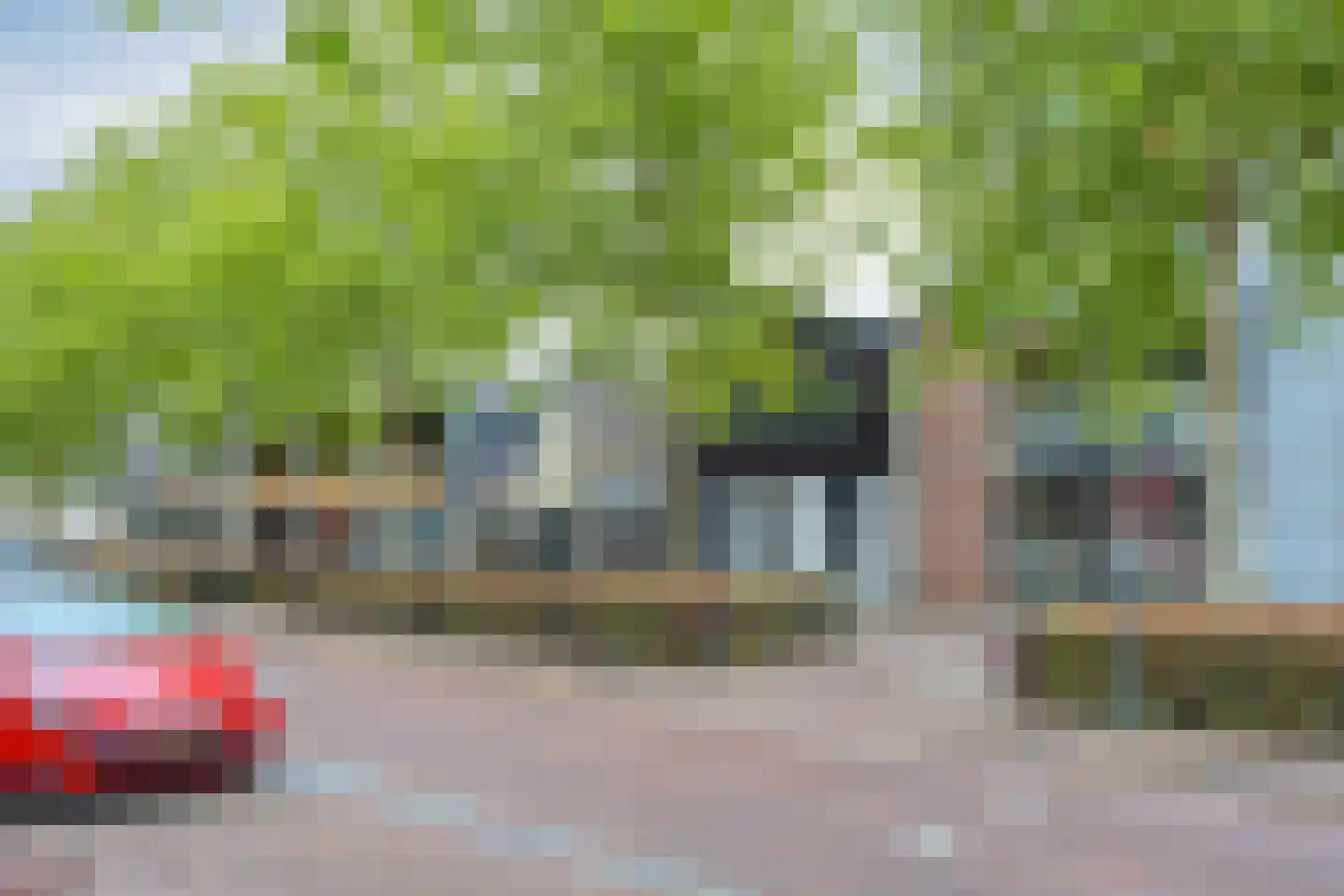 de Dam 54 Leek thumbnail 25