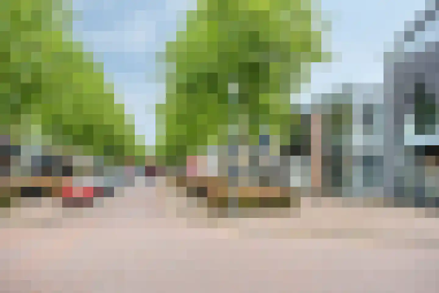 de Dam 54 Leek thumbnail 28