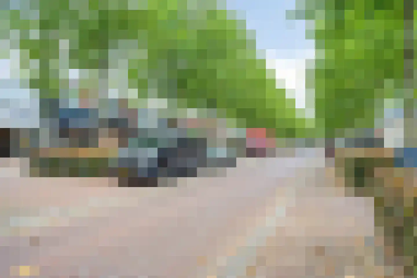 de Dam 54 Leek thumbnail 32