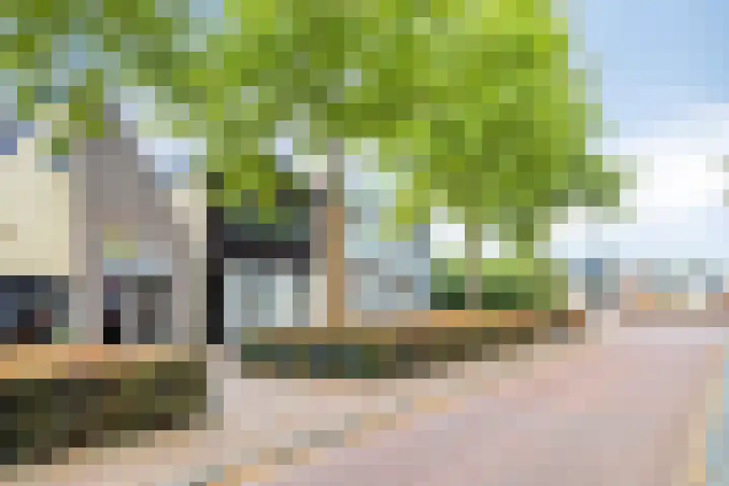 de Dam 54 Leek thumbnail 6