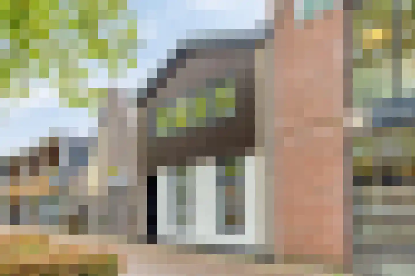 de Dam 54 Leek thumbnail 7