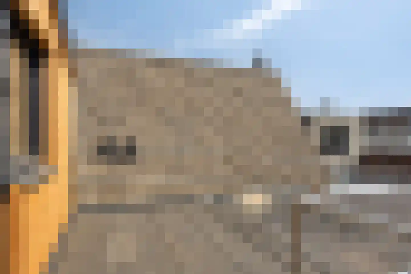 de Dam 56 Leek thumbnail 21