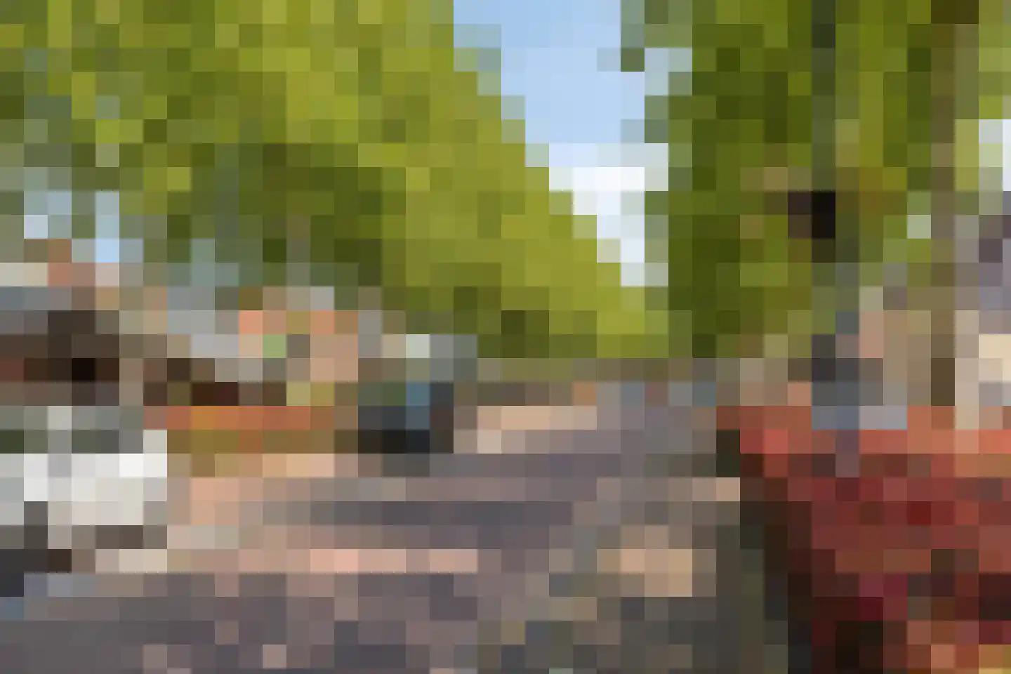 de Dam 56 Leek thumbnail 6