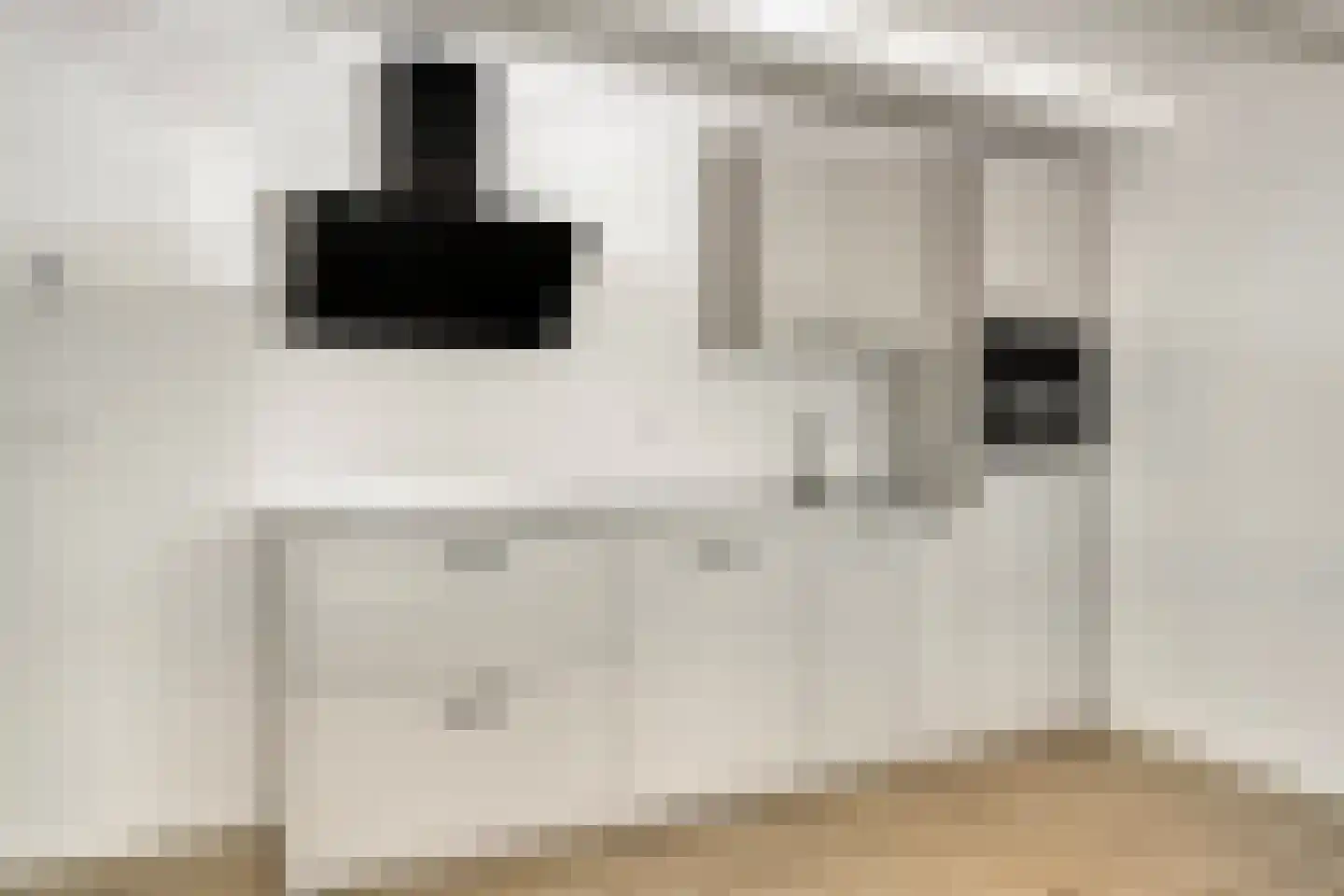 de Dam 56 Leek thumbnail 9