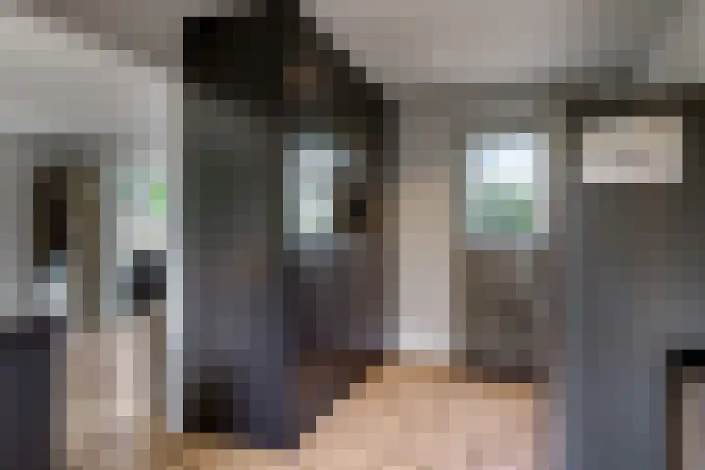 De Dam 7 Andelst thumbnail 13