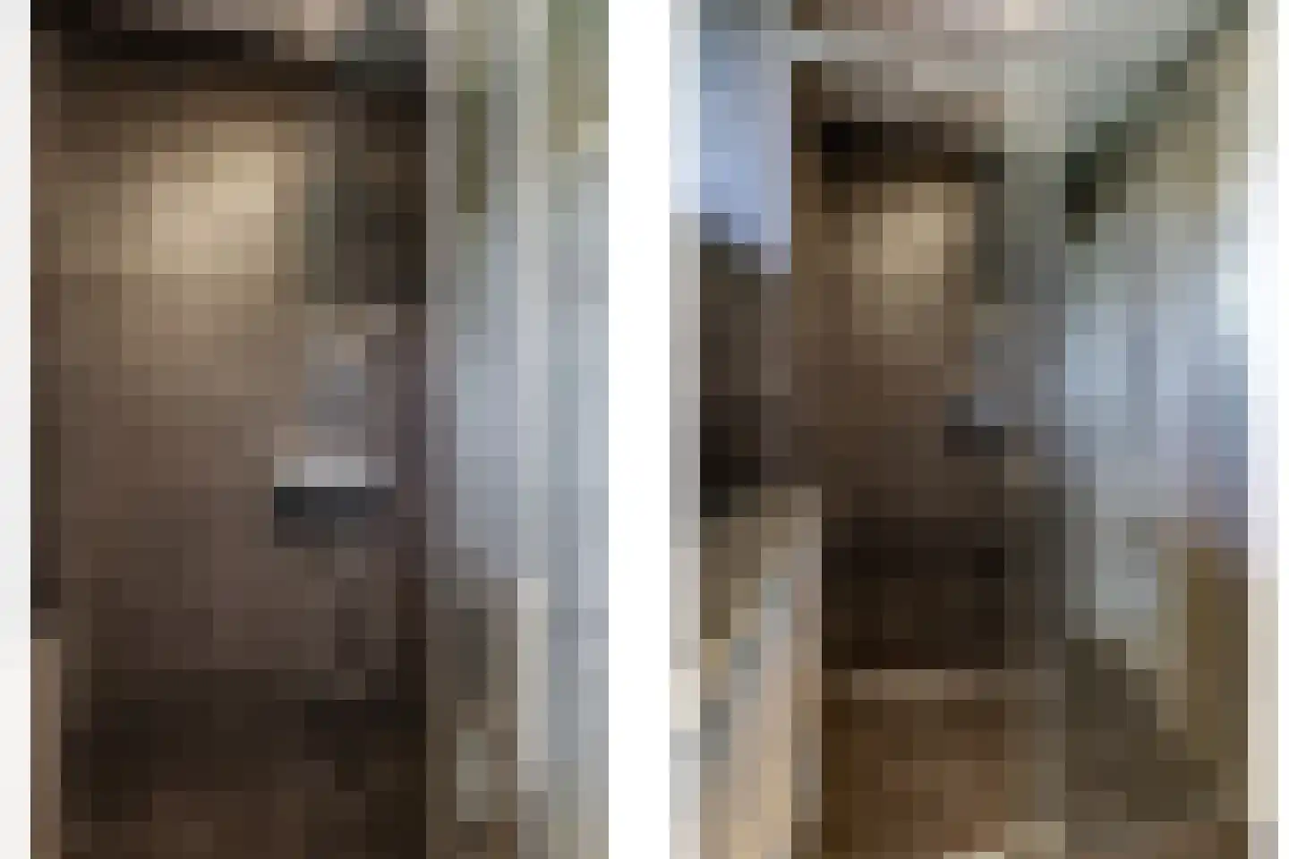 De Dam 7 Andelst thumbnail 37