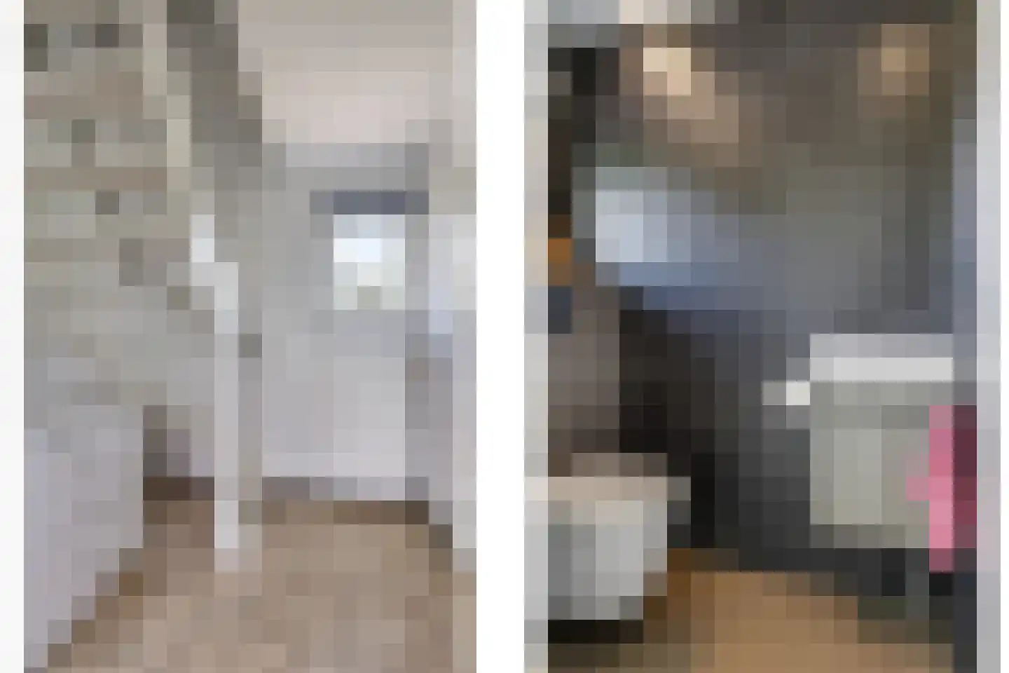 De Dam 7 Andelst thumbnail 39