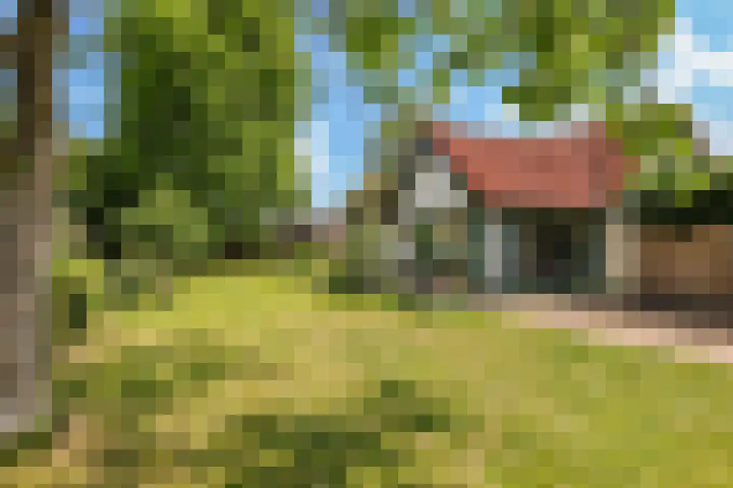 De Dam 7 Andelst thumbnail 4