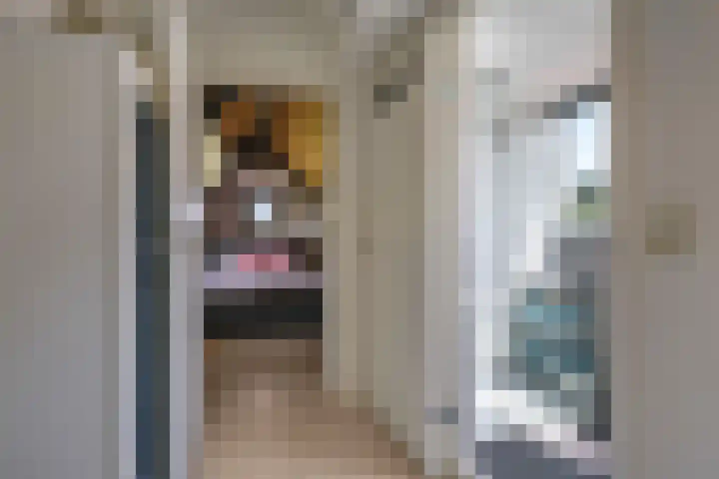 De Dam 7 Andelst thumbnail 41