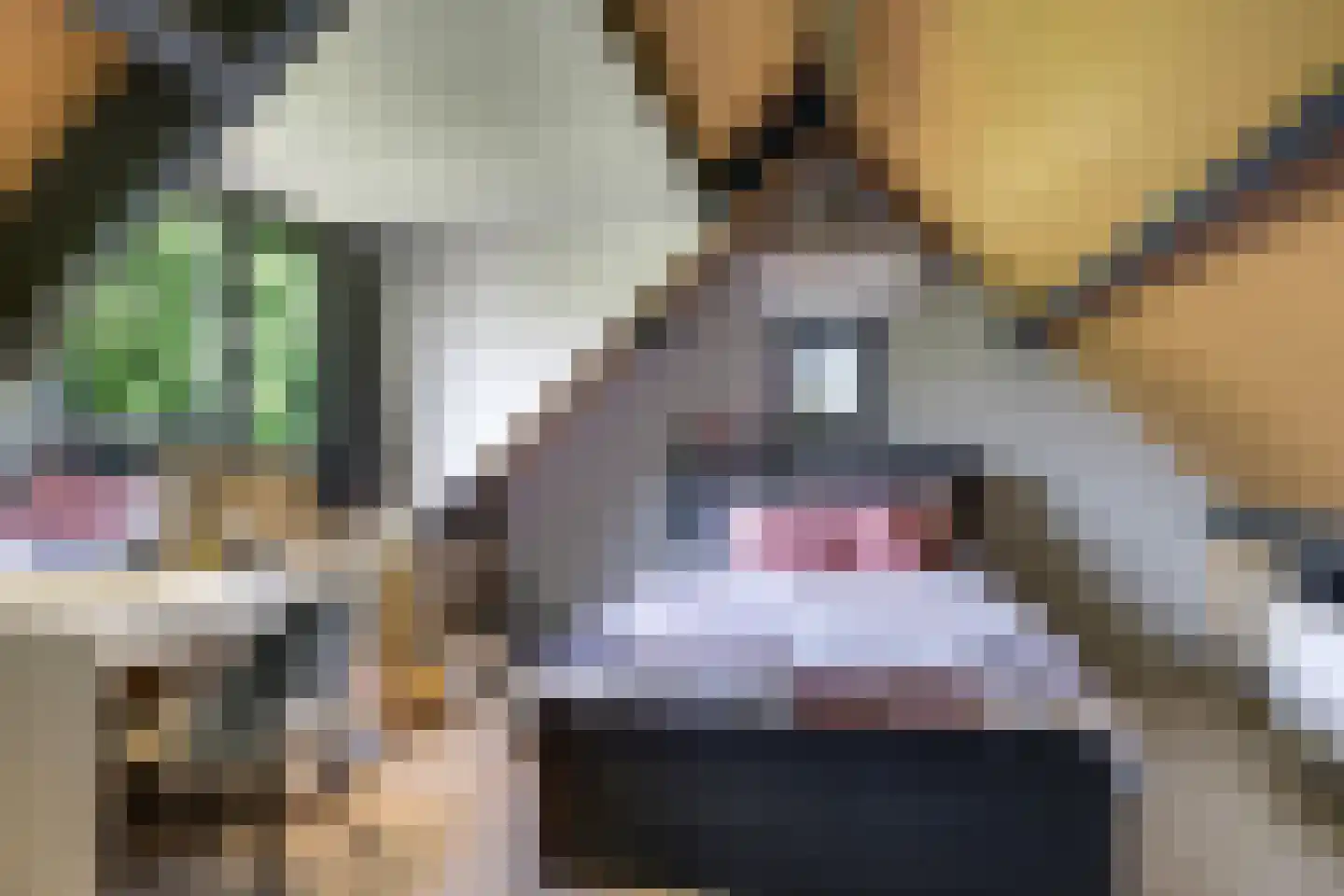 De Dam 7 Andelst thumbnail 42