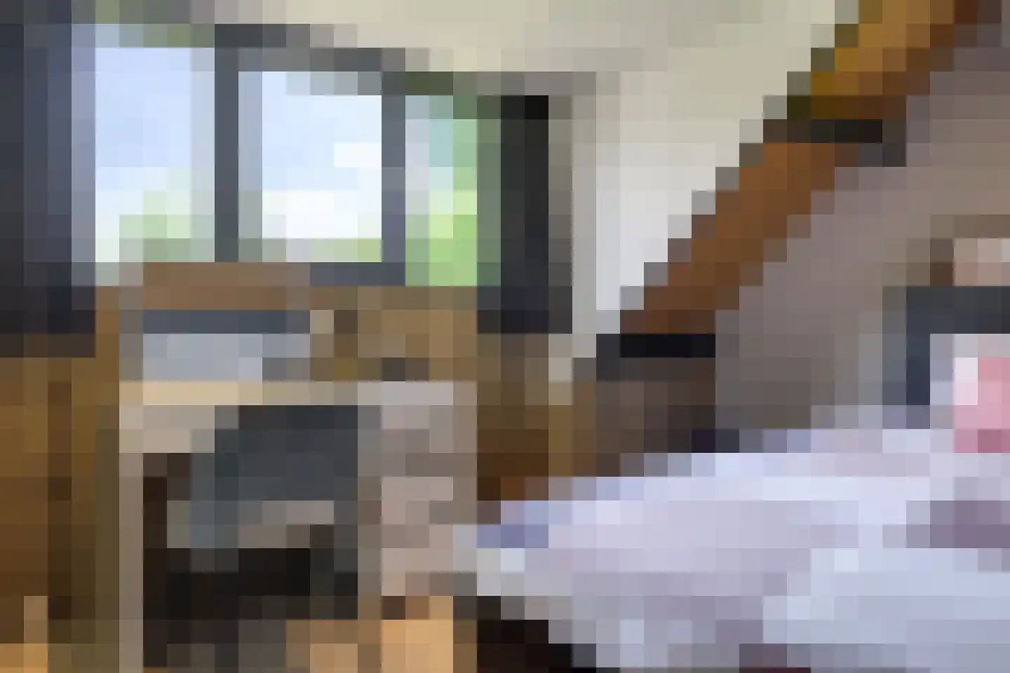 De Dam 7 Andelst thumbnail 43