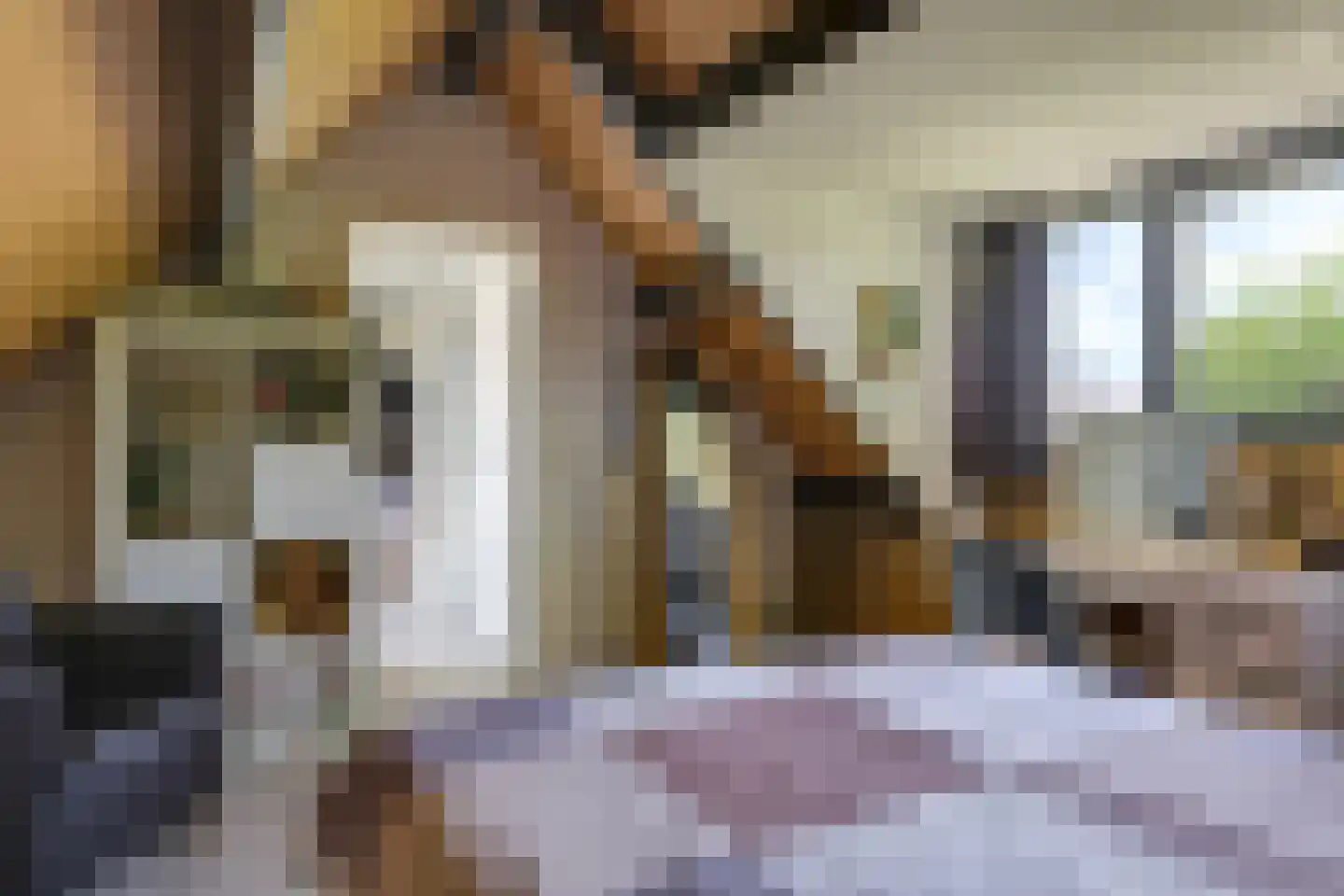 De Dam 7 Andelst thumbnail 44