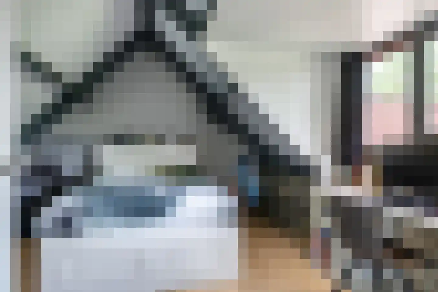 De Dam 7 Andelst thumbnail 47