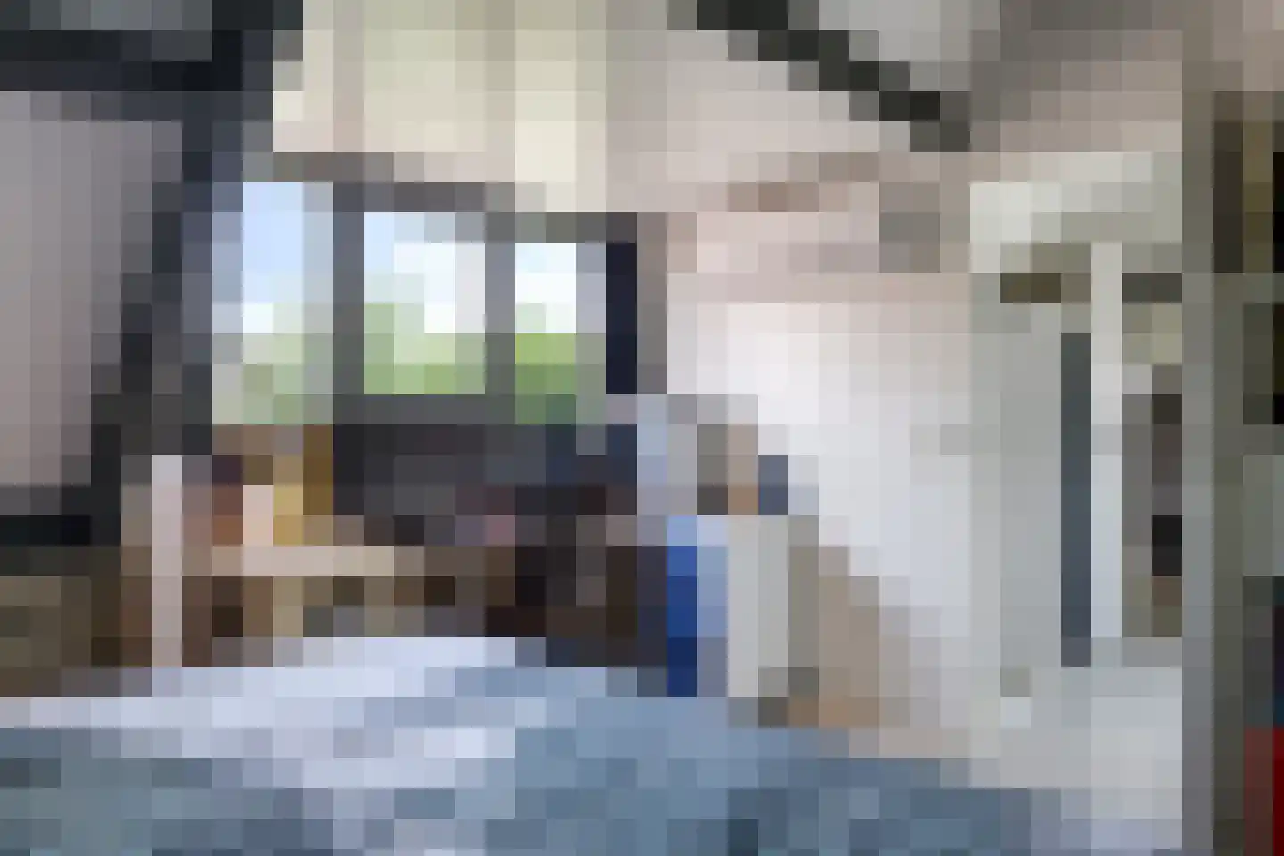 De Dam 7 Andelst thumbnail 48