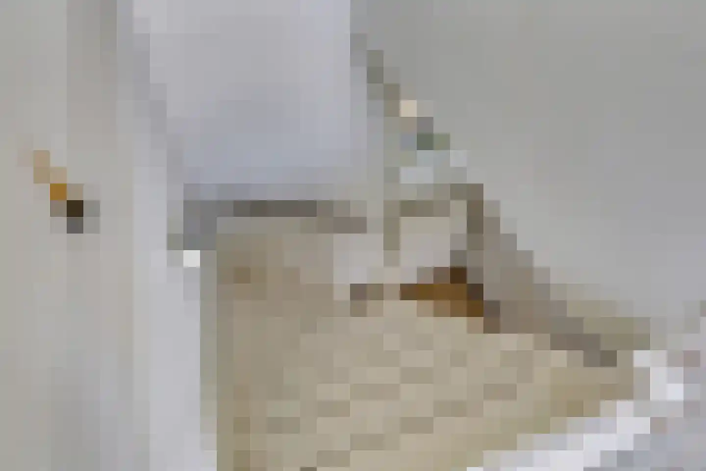 De Dam 7 Andelst thumbnail 49