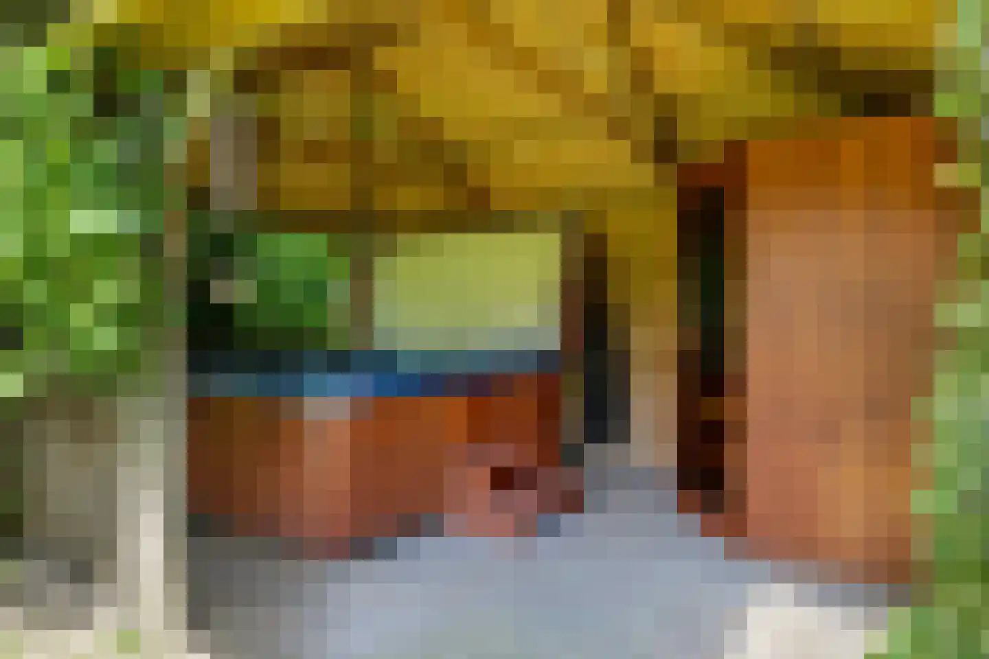 De Dam 7 Andelst thumbnail 5