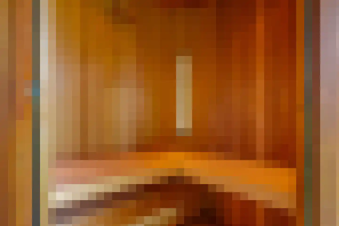 De Dam 7 Andelst thumbnail 61