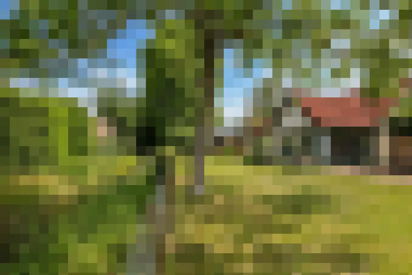 De Dam 7 Andelst thumbnail 64