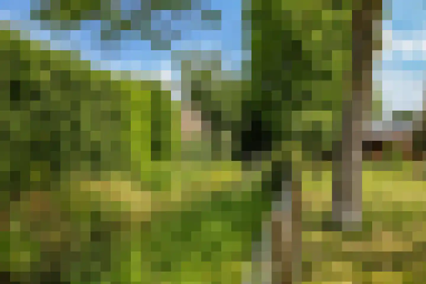 De Dam 7 Andelst thumbnail 65