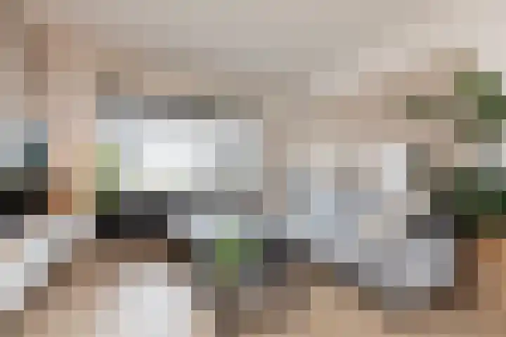 De Dammen 29 Bolsward thumbnail 4