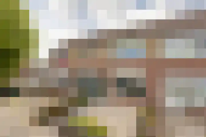 De Dammen 45 Bolsward thumbnail 39