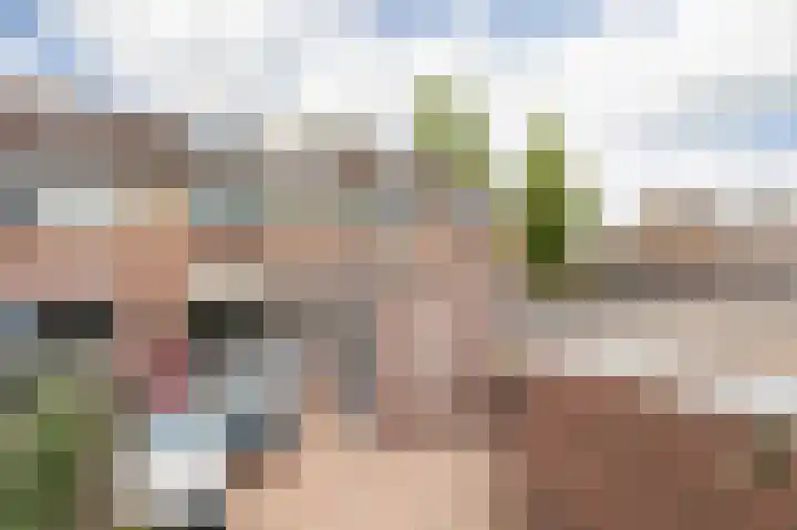 De Dammen 45 Bolsward thumbnail 4