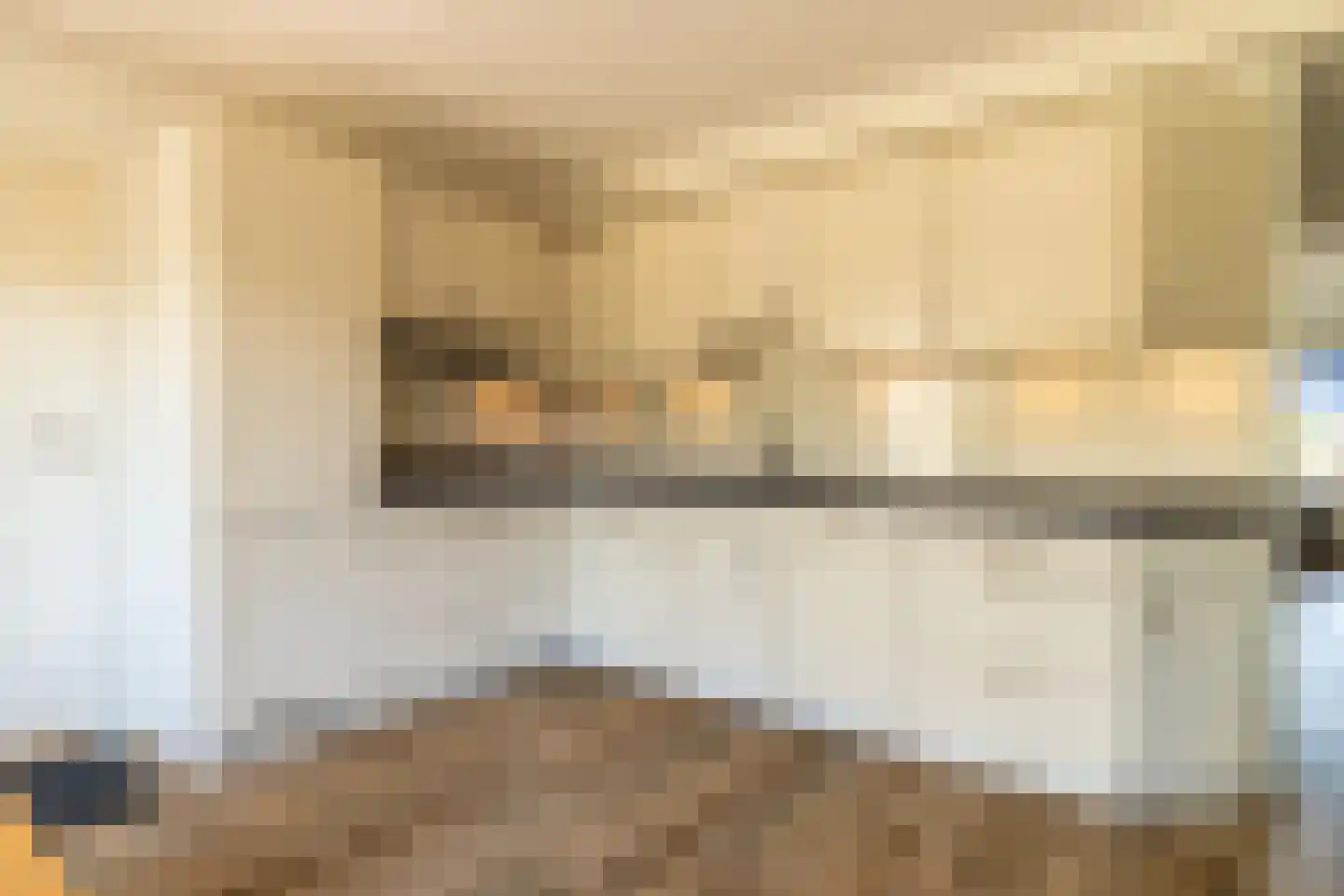 De Dammen 47 Balk thumbnail 12