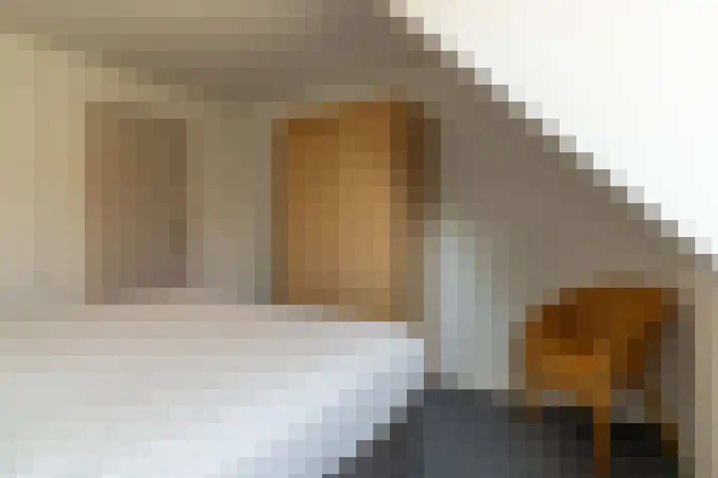 De Dammen 47 Balk thumbnail 26