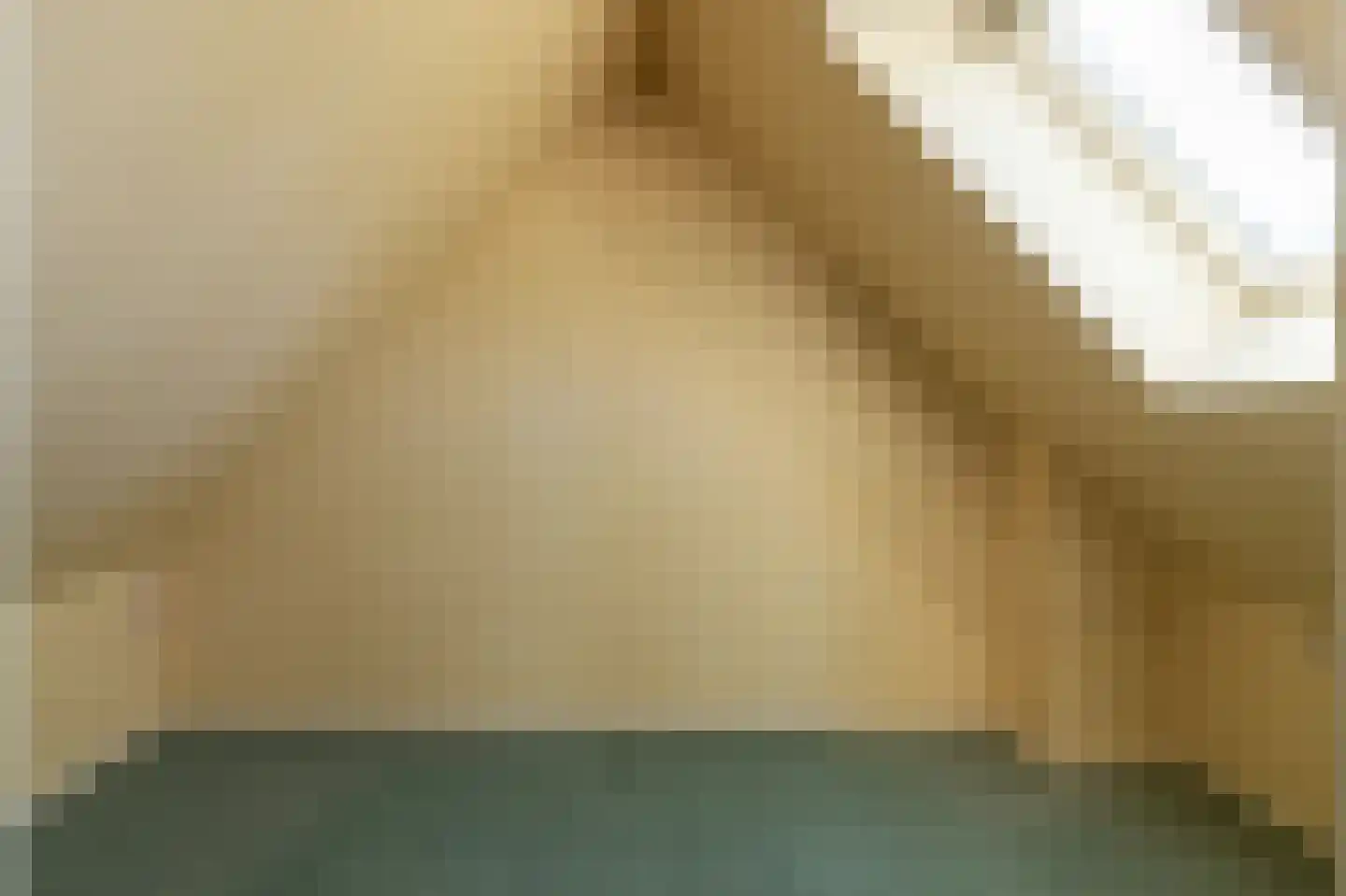 De Dammen 47 Balk thumbnail 31