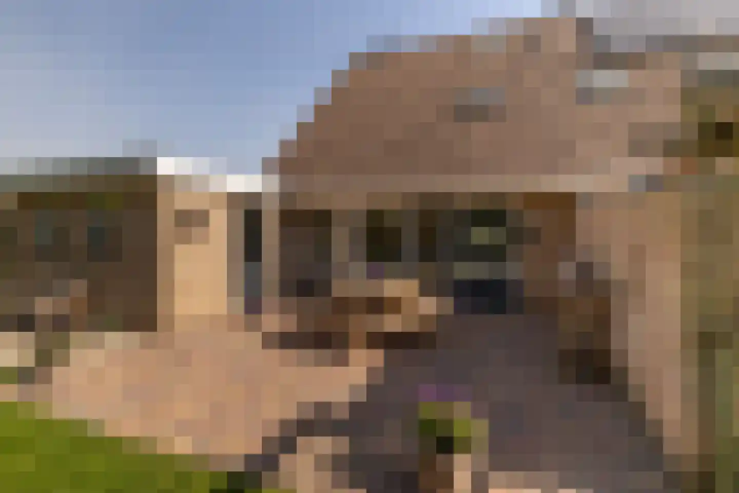 De Dammen 47 Balk thumbnail 37