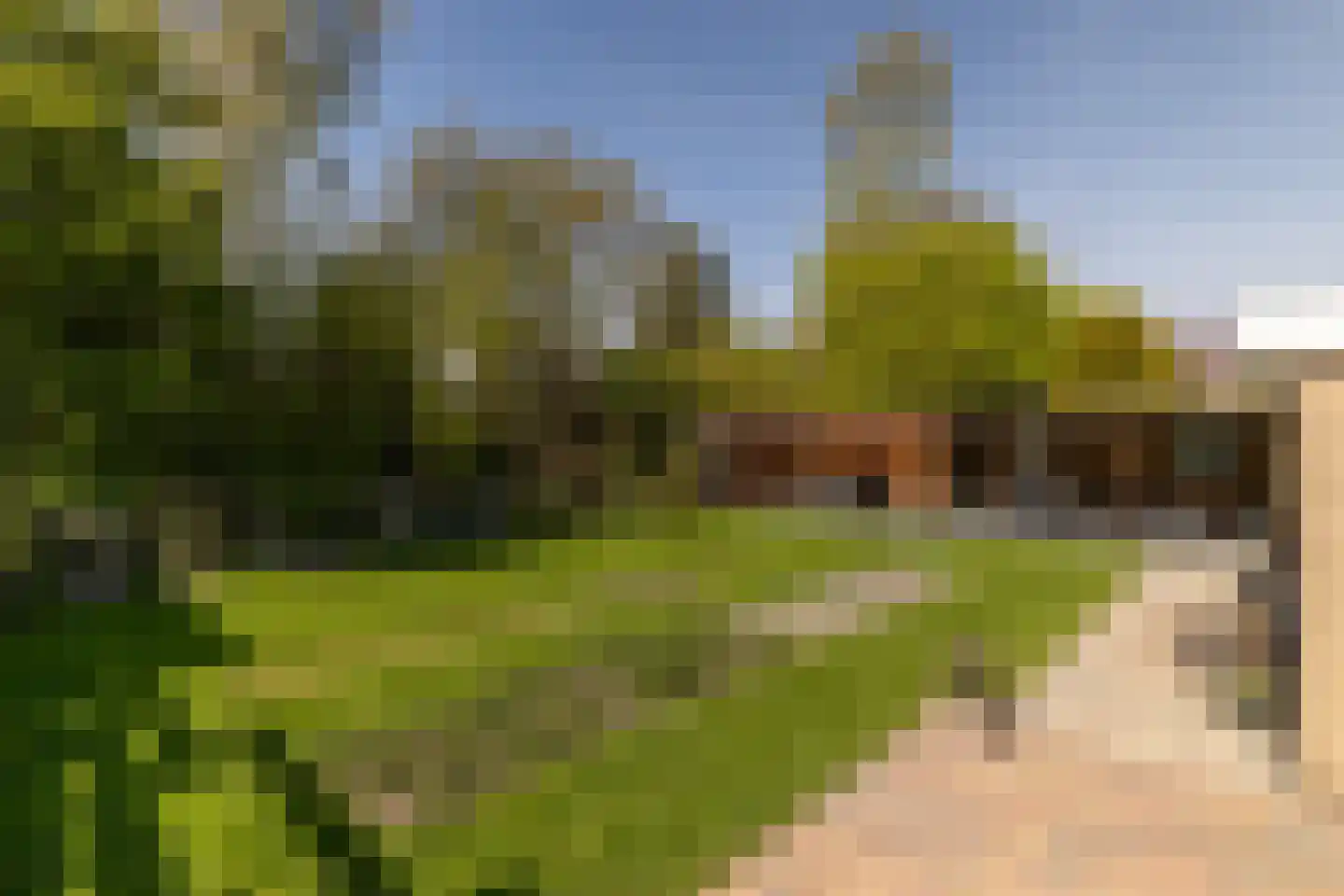 De Dammen 47 Balk thumbnail 38