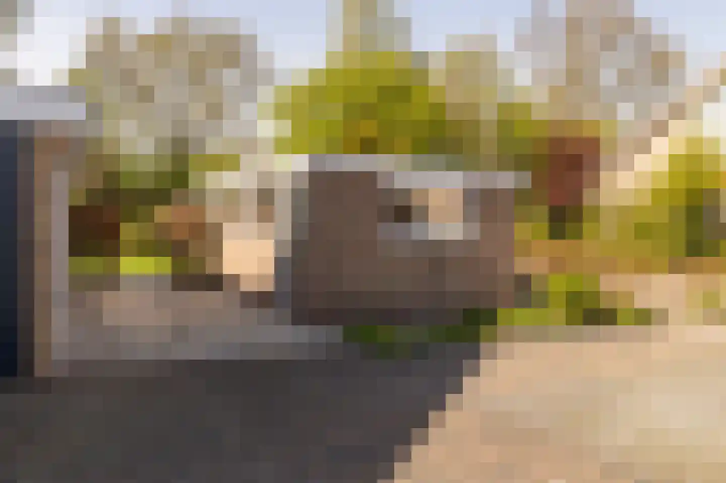 De Dammen 47 Balk thumbnail 41