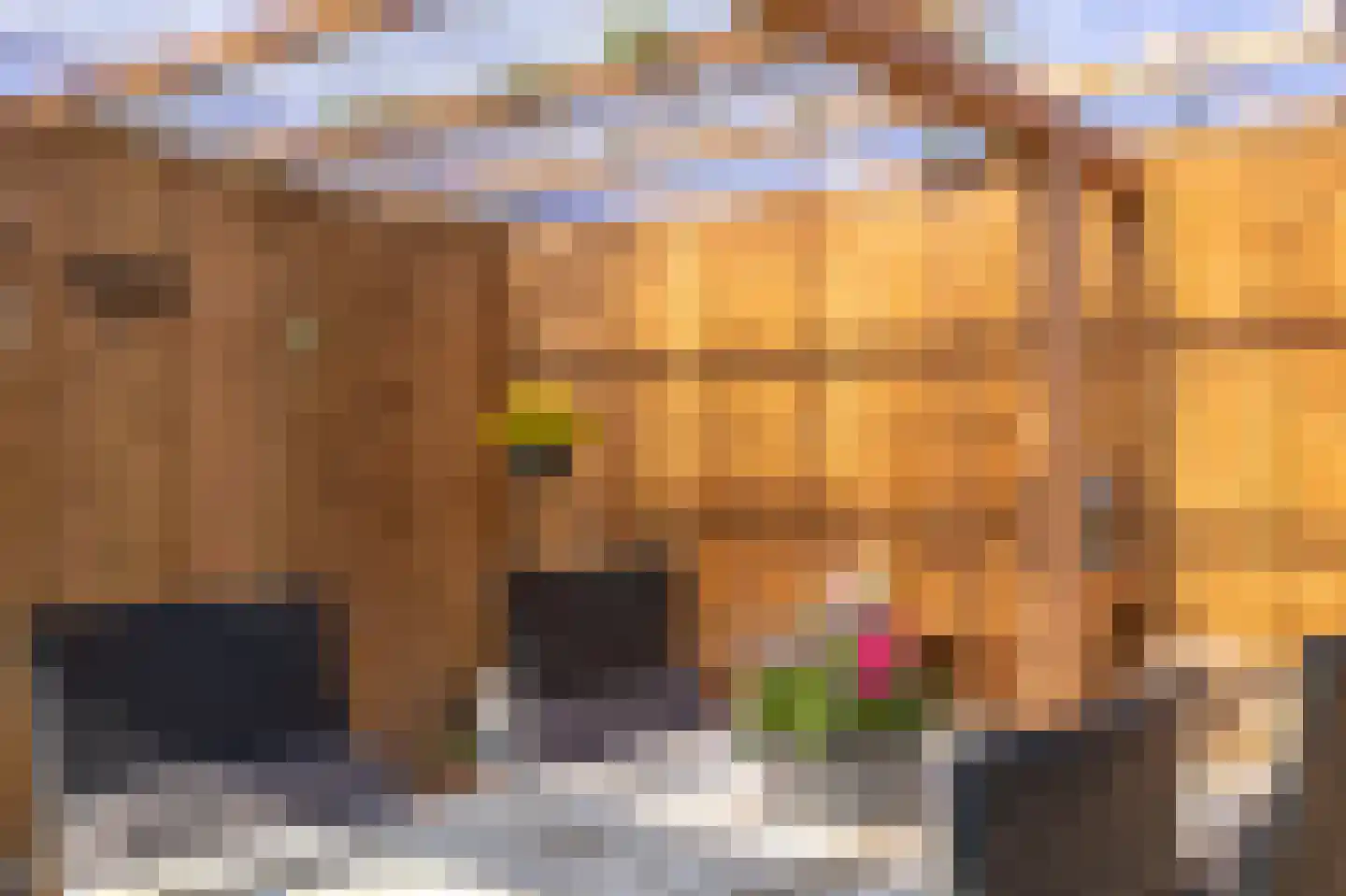 De Dammen 47 Balk thumbnail 42