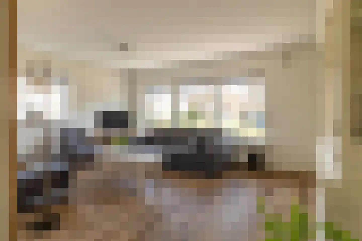 De Dammen 47 Balk thumbnail 8