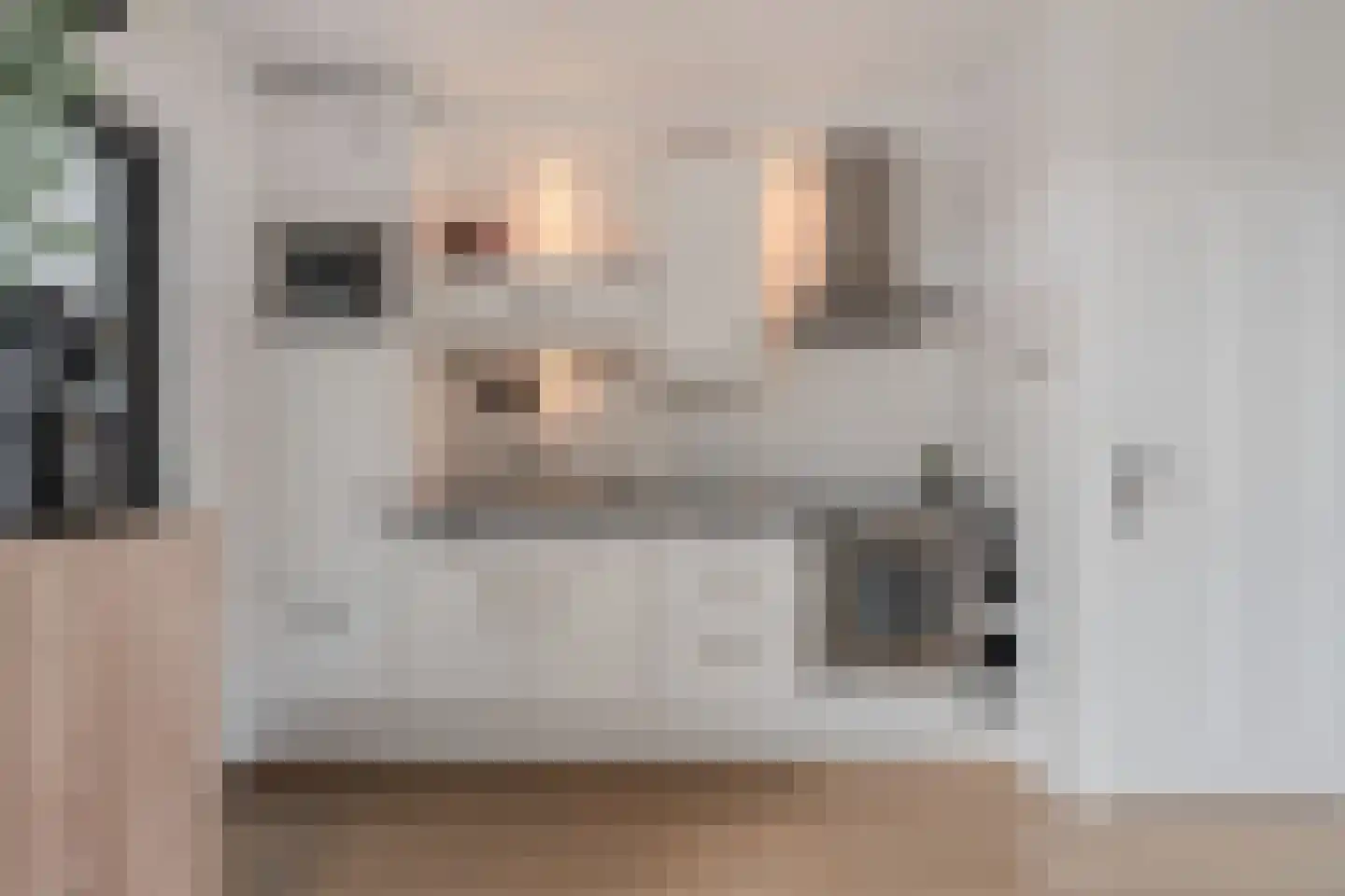 De Dammen 76 Bolsward thumbnail 20