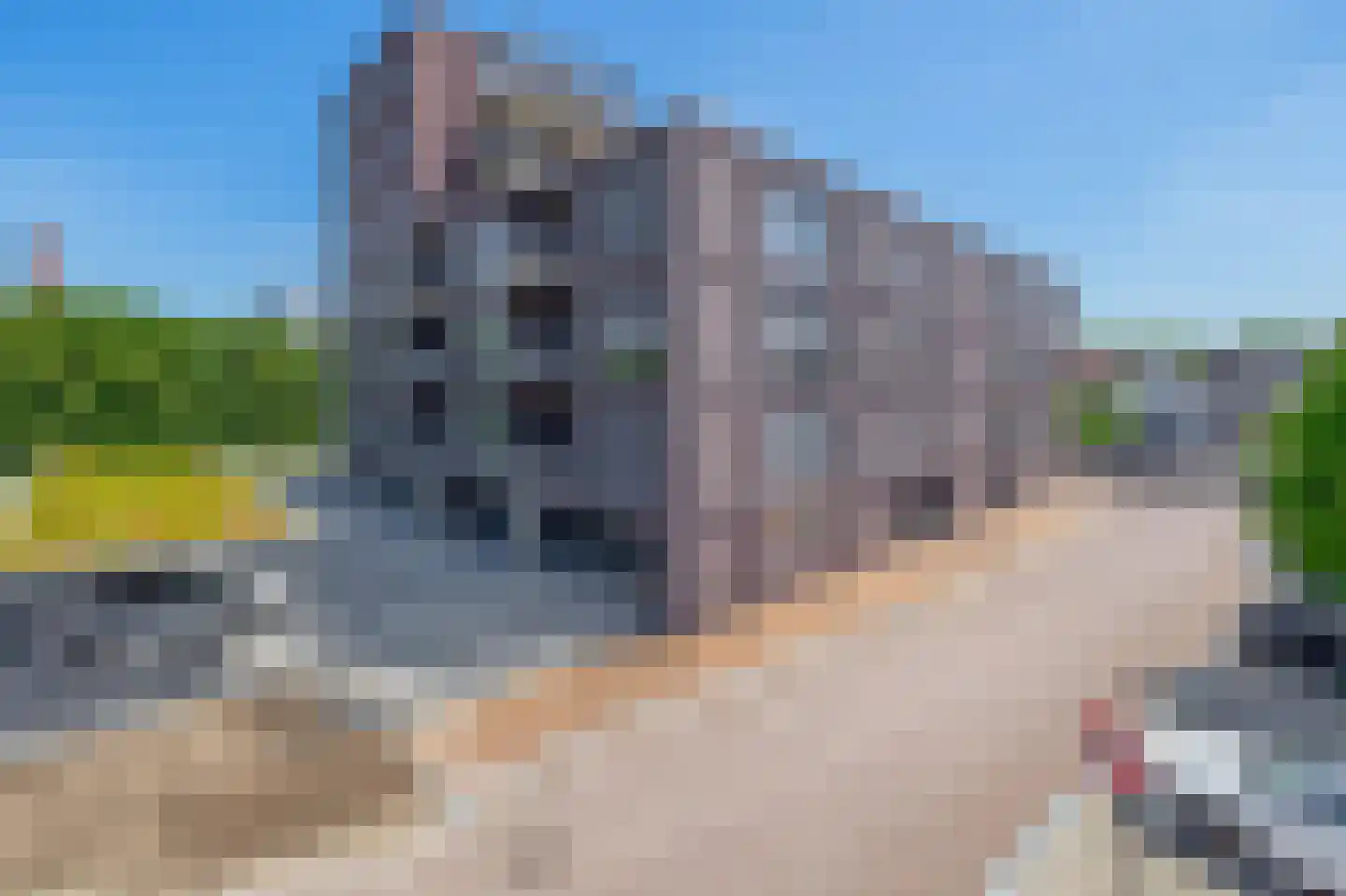 De Dankbaarheid 10 in Zevenbergen