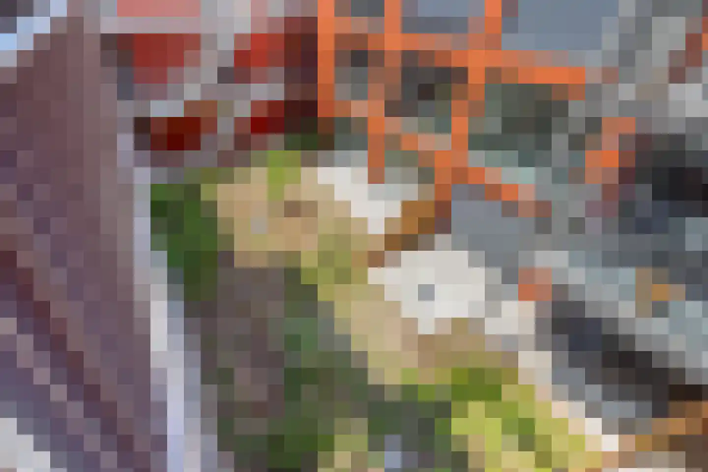 De Dankbaarheid 10 Zevenbergen thumbnail 10