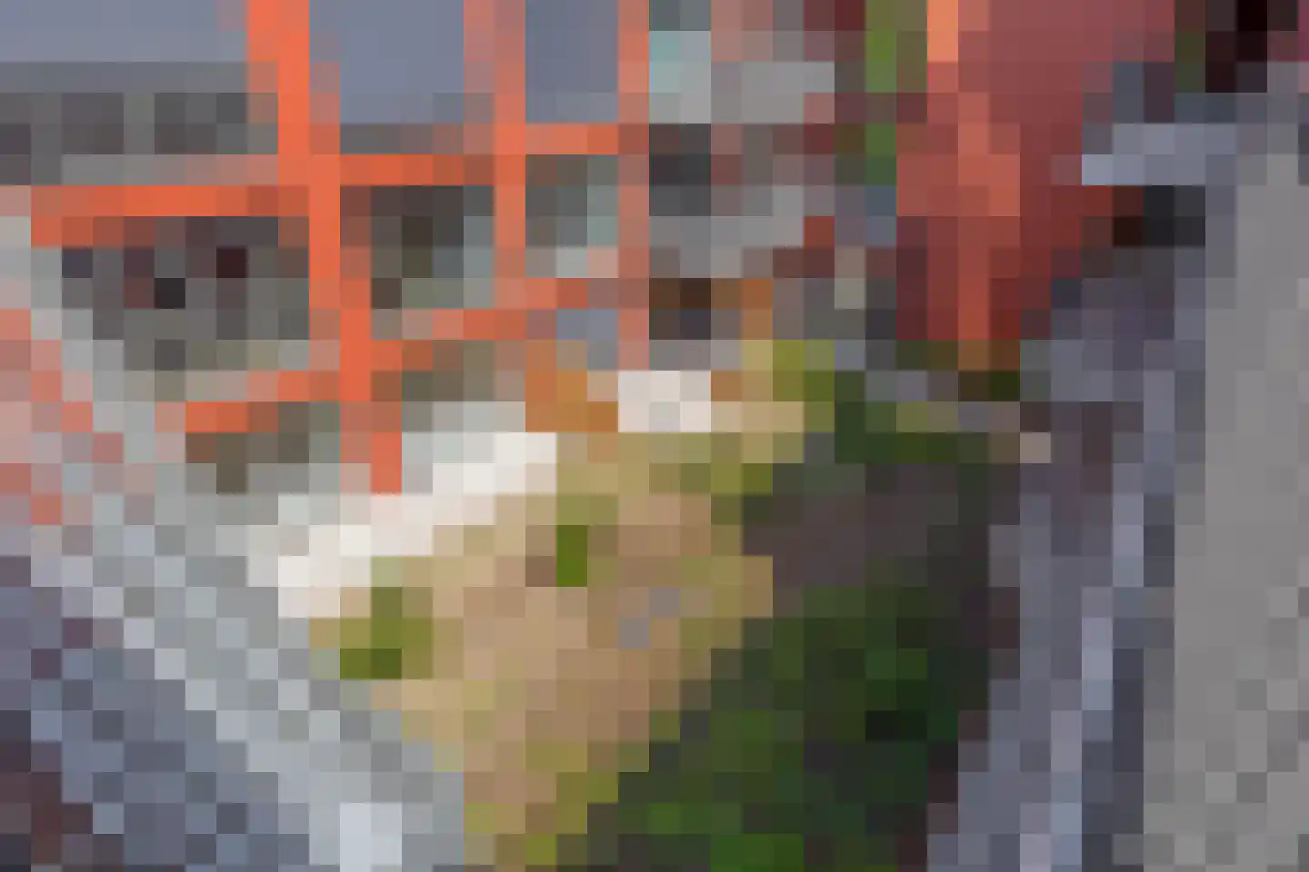 De Dankbaarheid 10 Zevenbergen thumbnail 11
