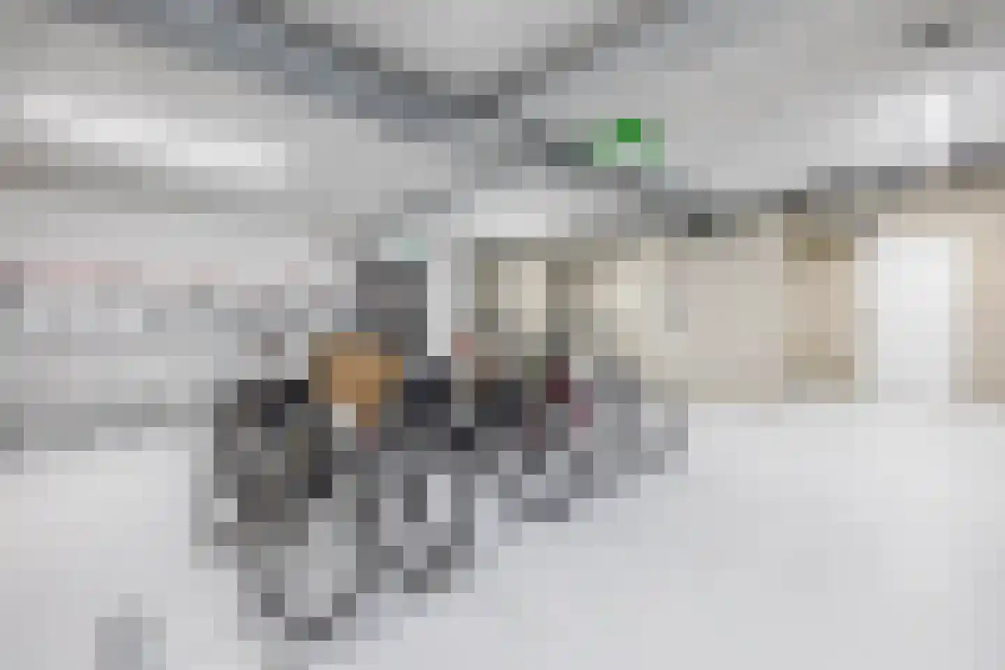 De Dankbaarheid 10 Zevenbergen thumbnail 36