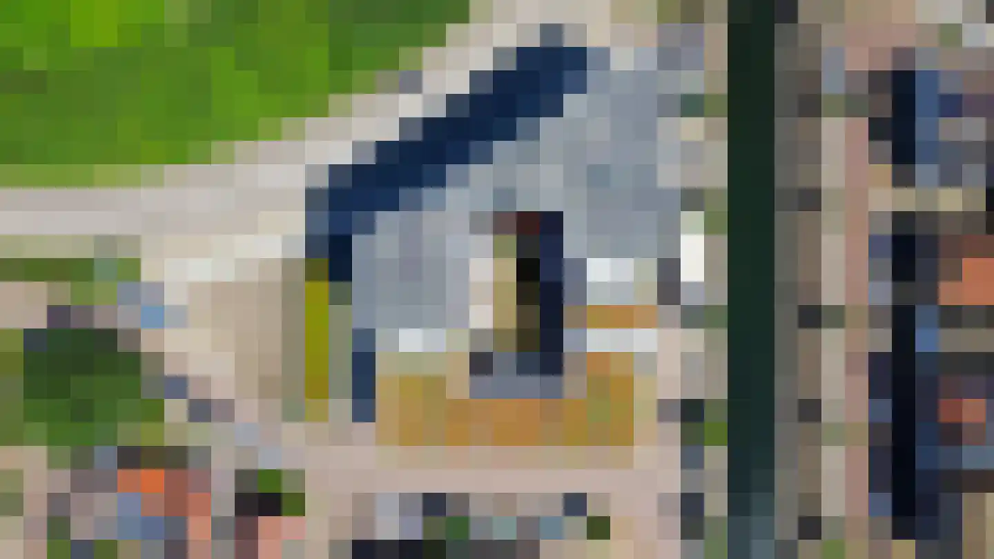 De Dankbaarheid 10 Zevenbergen thumbnail 45