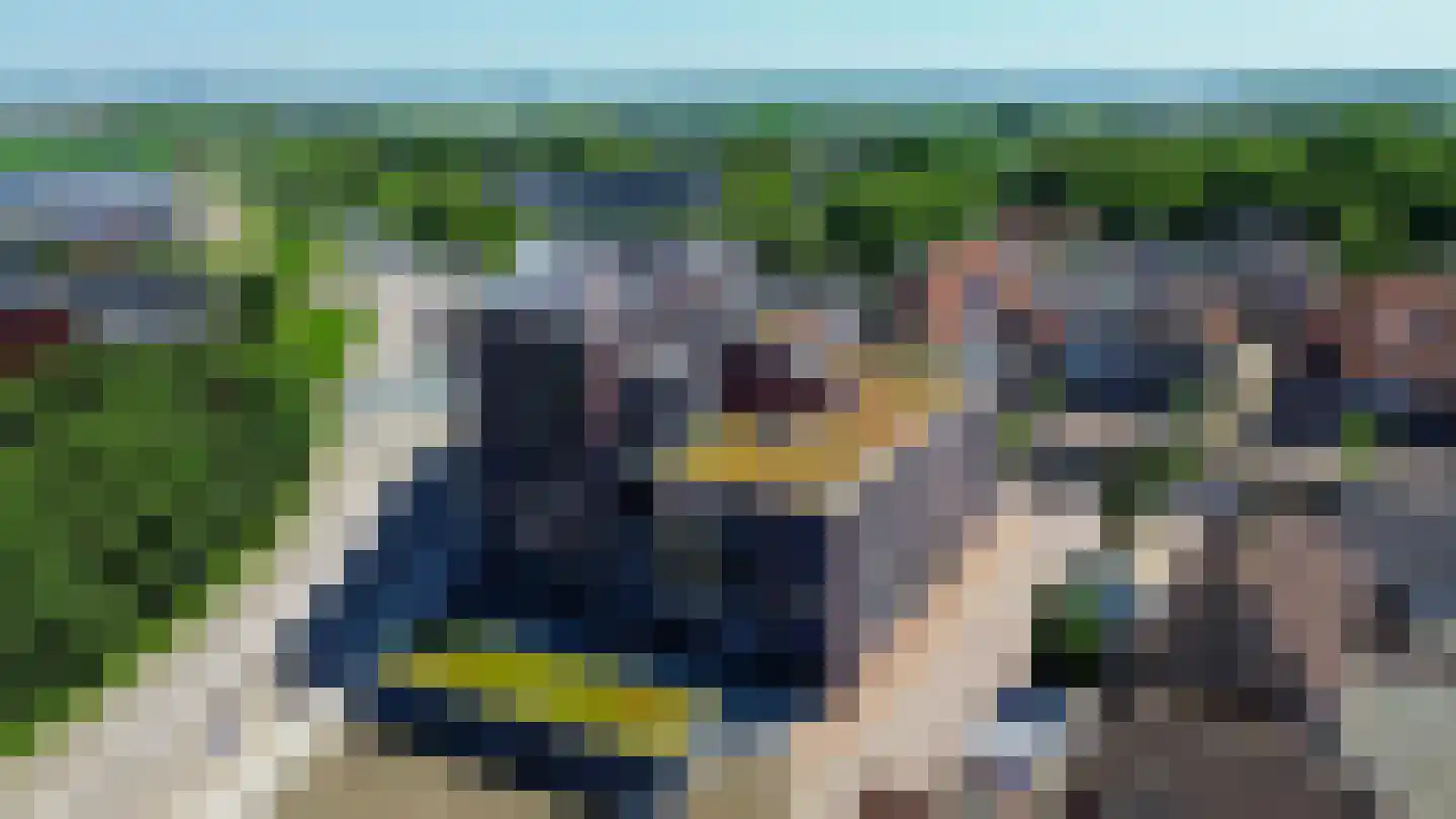 De Dankbaarheid 10 Zevenbergen thumbnail 46